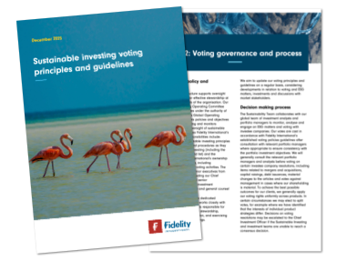 Reports & Policies